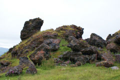 
The Monster slagheap, Garnddyrys Forge, June 2009